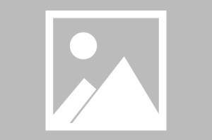 【葡超】波尔图VS吉马良斯预测分析 波尔图实力强劲，吉马良斯客场全力争胜